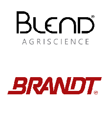 logotipo brandt e blend